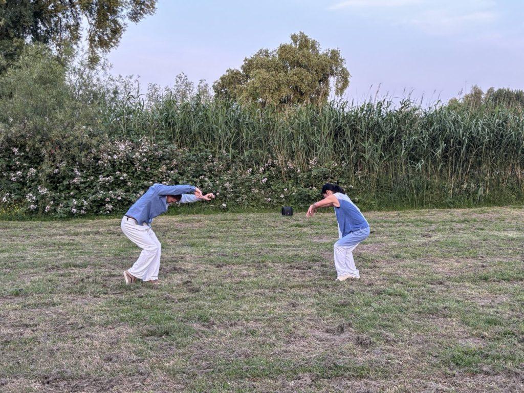 img 7565